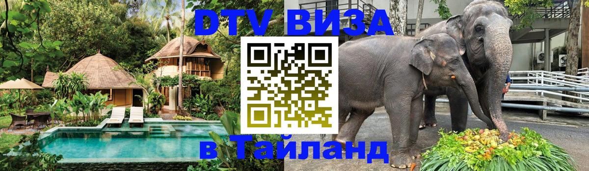 Сколько стоит DTV виза — актуальные цены, оформление даже без документов - 
